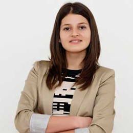 服务器攻击软件